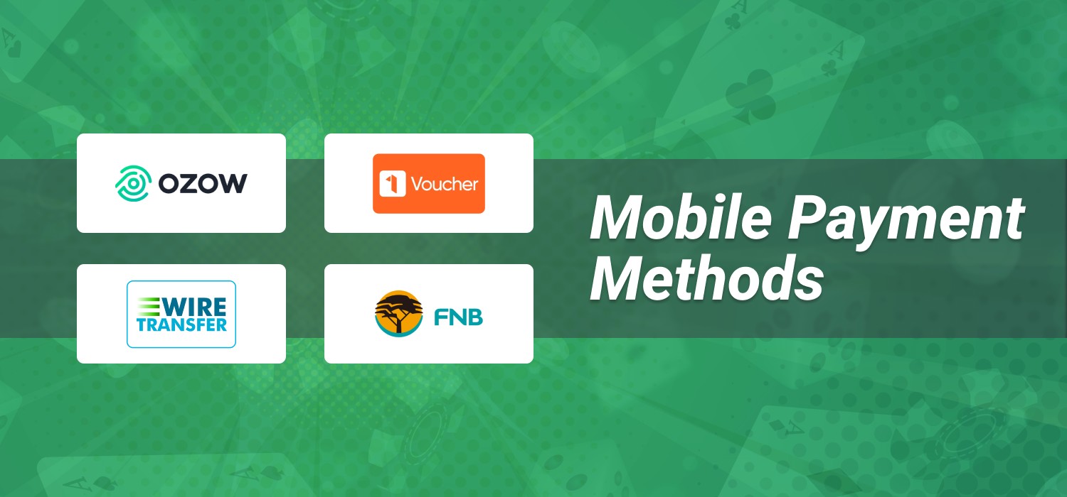 payment options in the application